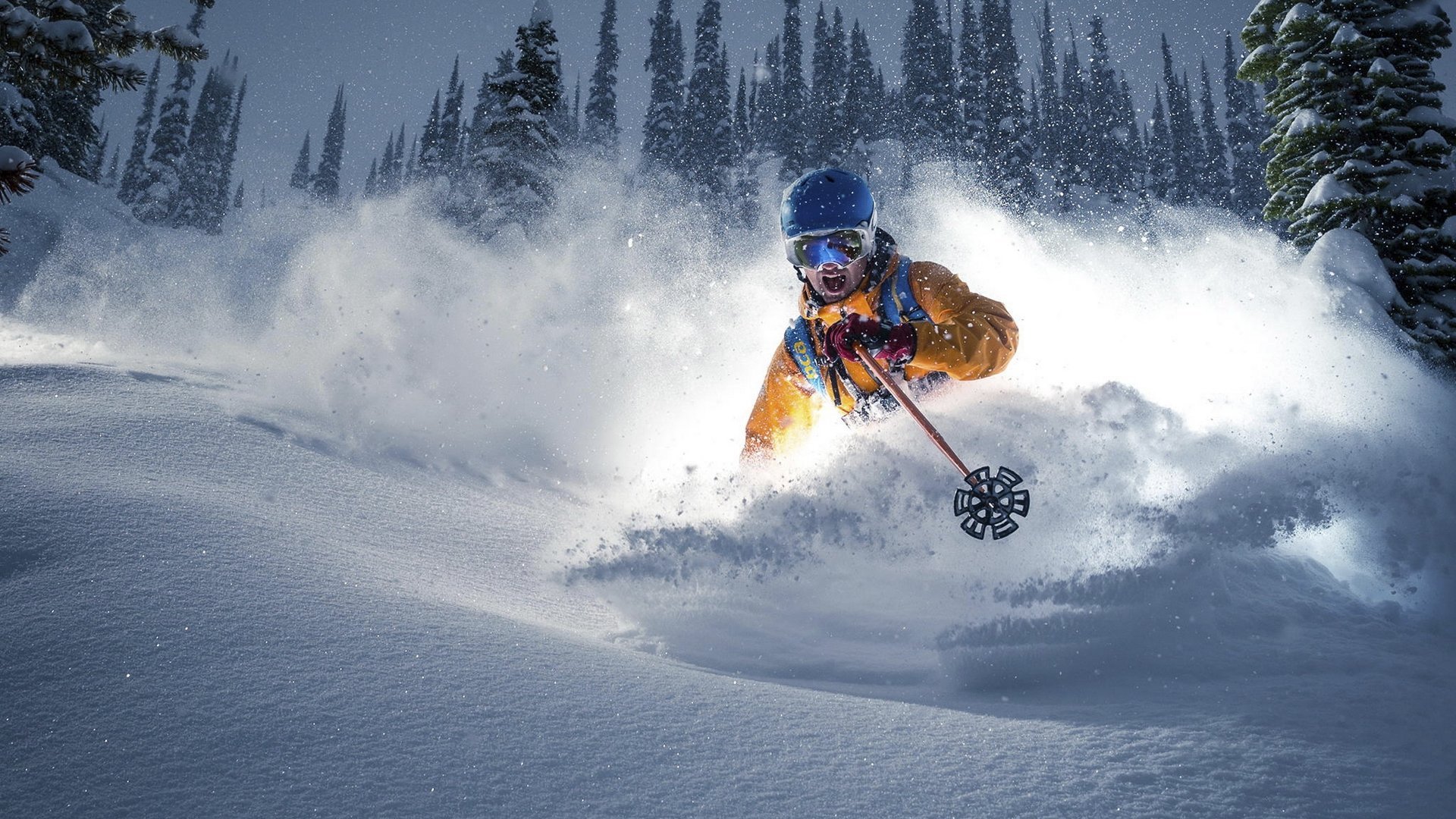 Kaiyun官方网站-红点之殇，多特蒙德的跌宕与拜仁逆转的冷酷真相，红点之殇，多特蒙德的跌宕与拜仁逆转的冷酷真相